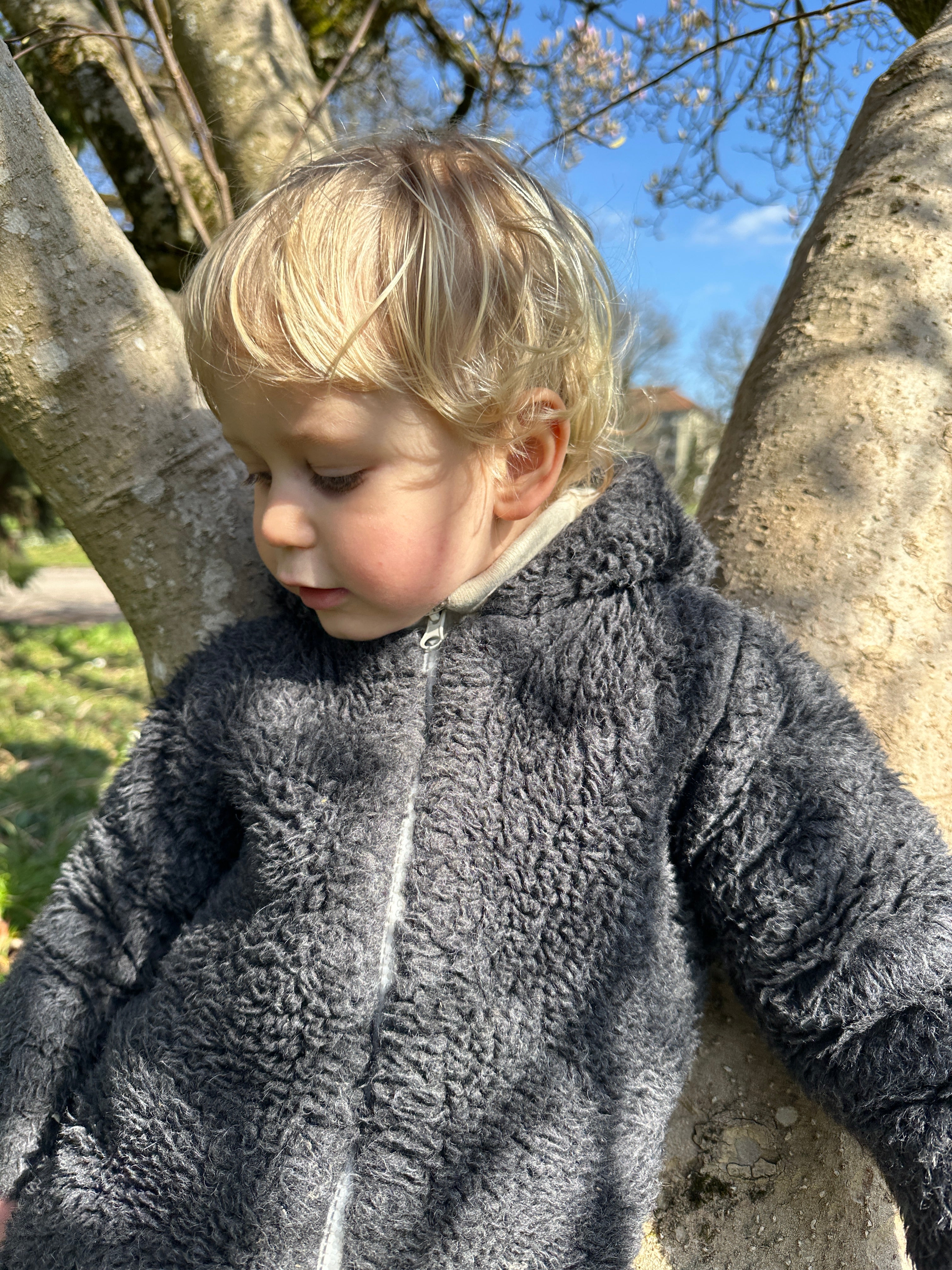 Baby/Kid Virgin Wool Jacket - Charcoal-0 petit berceau